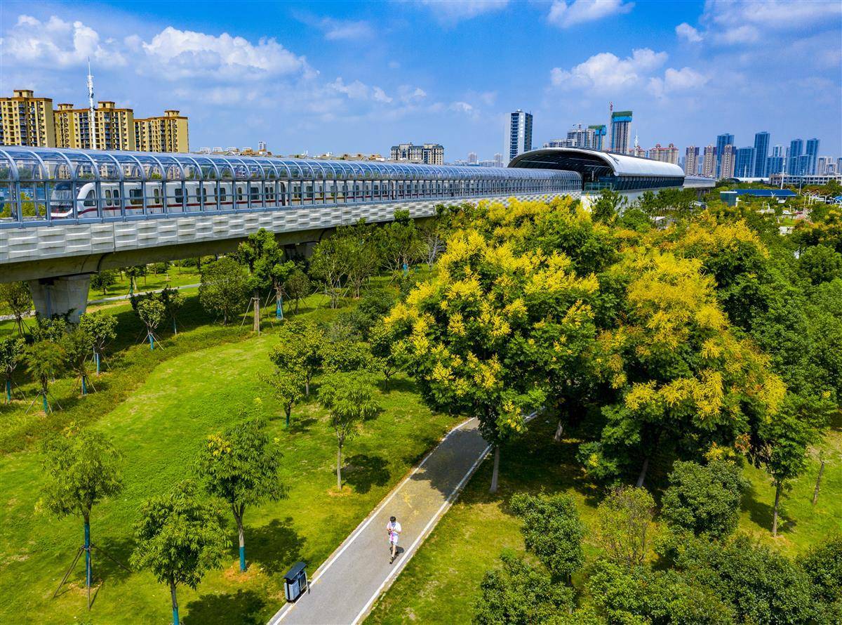 怎么是中了闲龙宝